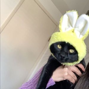 Meet your Posher, Marlen